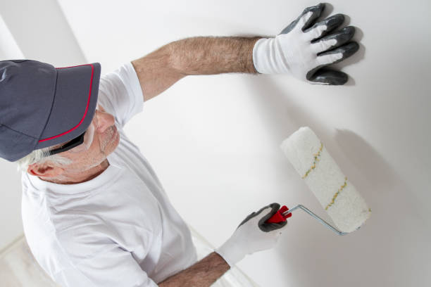 Professional Mold Removal in De Smet, SD