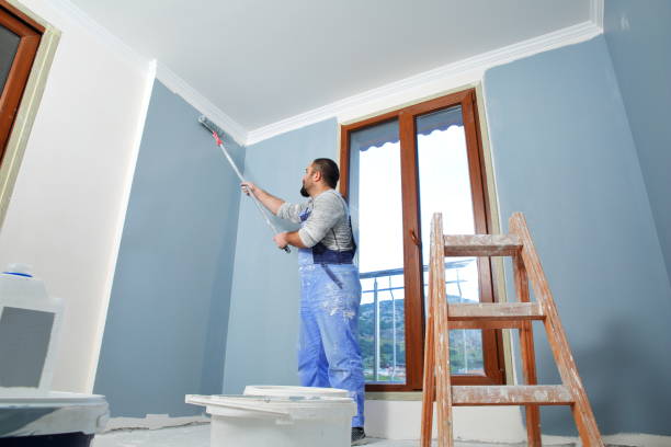 Best Dehumidification Services  in De Smet, SD