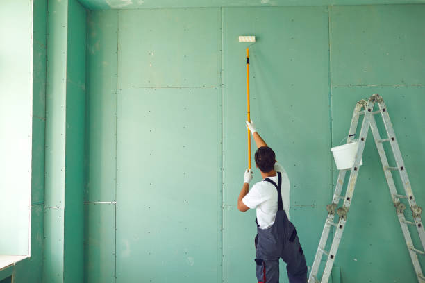 Best Emergency Mold Remediation  in De Smet, SD