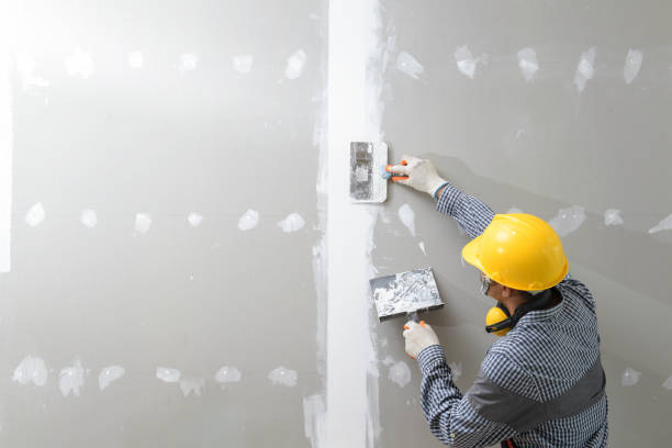 Best Asbestos and Lead Testing During Mold Inspection  in De Smet, SD