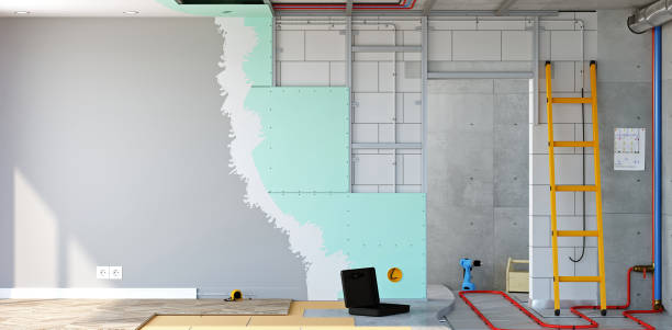 Best Attic Mold Removal  in De Smet, SD