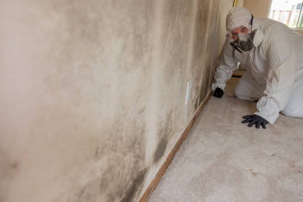 Best Industrial Mold Remediation  in De Smet, SD