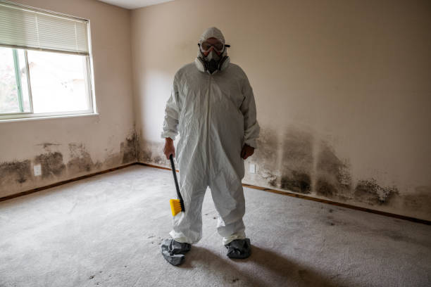 Best Post-Construction Mold Inspection  in De Smet, SD