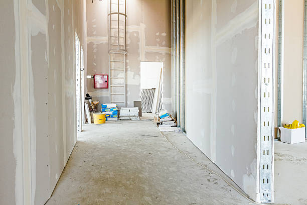 Best Water Damage & Mold Remediation  in De Smet, SD